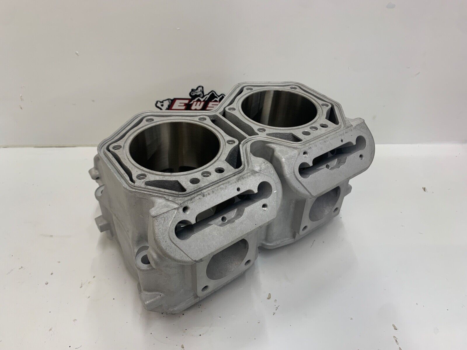 SKI DOO MXZ, SUMMIT, RENEGADE P-TEK 800R ETEC SPI CYLINDER NEW