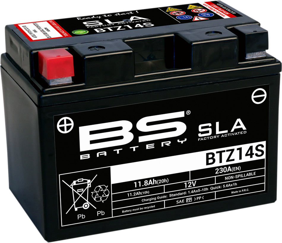 BS BATTERY SLA Factory- Activated AGM Maintenance-Free Battery 300638-1