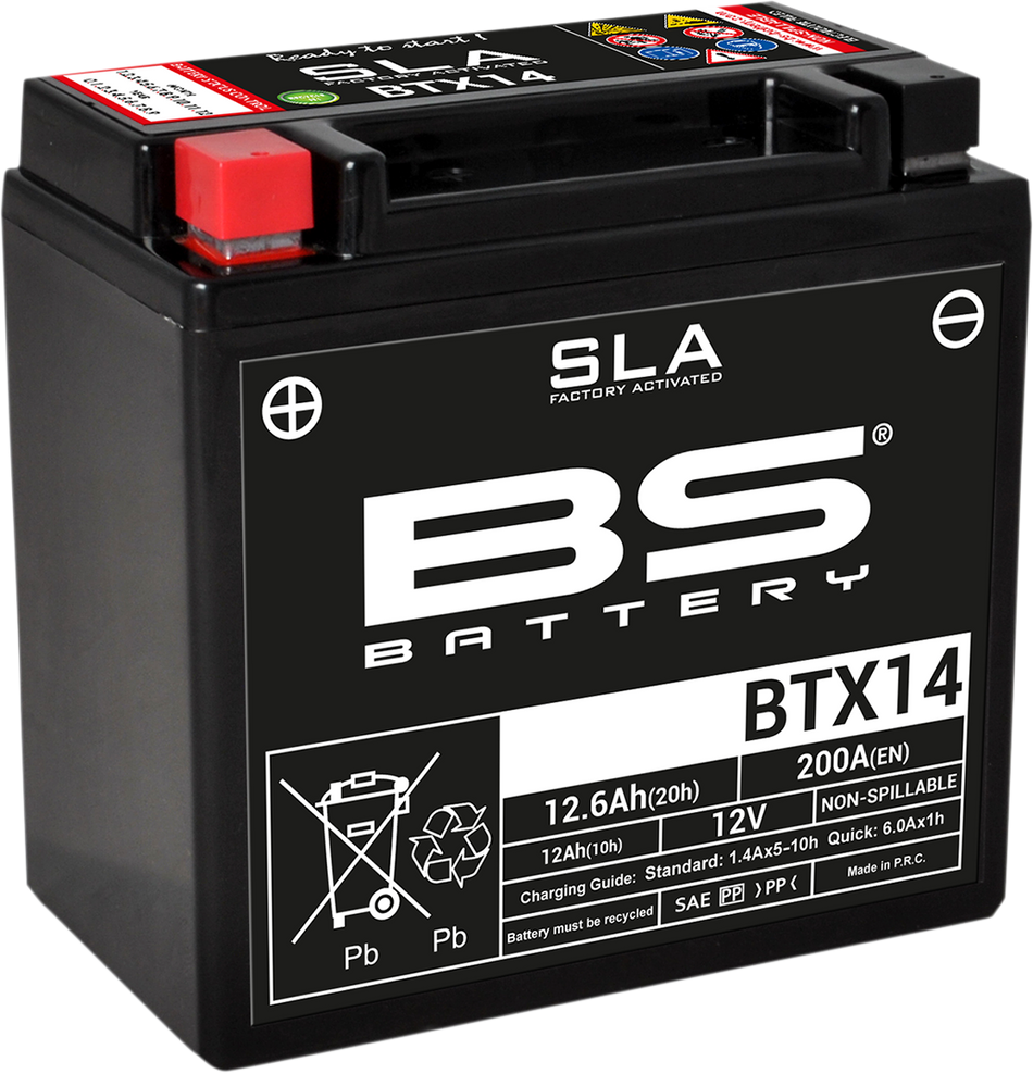 BS BATTERY SLA Factory- Activated AGM Maintenance-Free Battery 300681