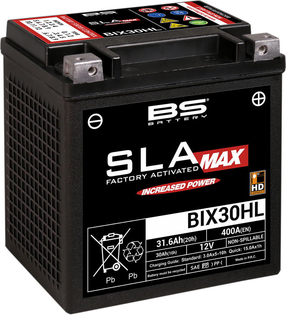 BS BATTERY SLA MAX Factory- Activated AGM Maintenance-Free Battery 300884